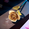 Daiya Original White Rose 24K Gold (gold Leaf)