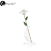 Wholesale Processing Customized Diana Snow White Gold Rose