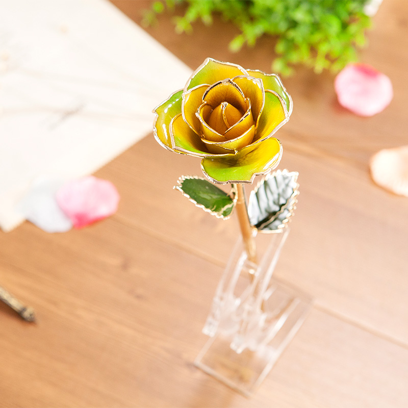 Wholesale Processing Customized Diana Yellow And Green Two-color Gold Rose