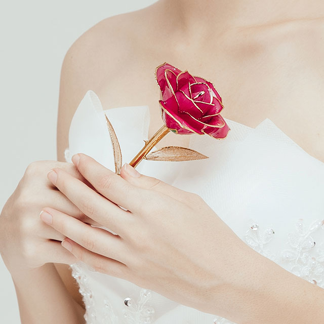 Daiya Red Rose 24K Gold (gold Leaf)