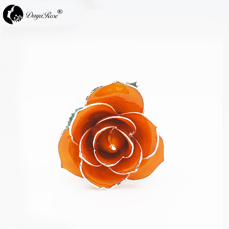 Orange with Silver Roses(June)