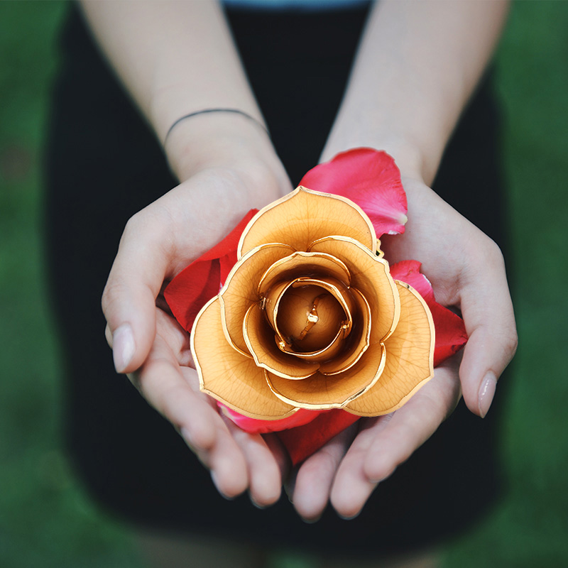 Love The Only Champagne Gold Rose (natural Rose)