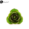 Wholesale Processing Customized Diana Pale Green Gold Rose