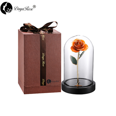 Wholesale Processing Customized Diana Orange Gold Rose （The Glass Cover）