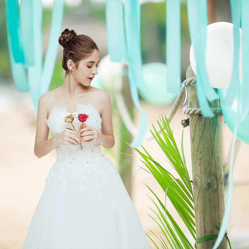Wholesale Processing Customized Diana Rainbow Golden Rose （The Glass Cover）