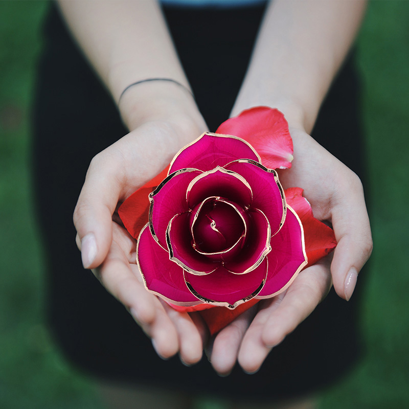 Love Only Rose Red Gold Rose (natural Rose)